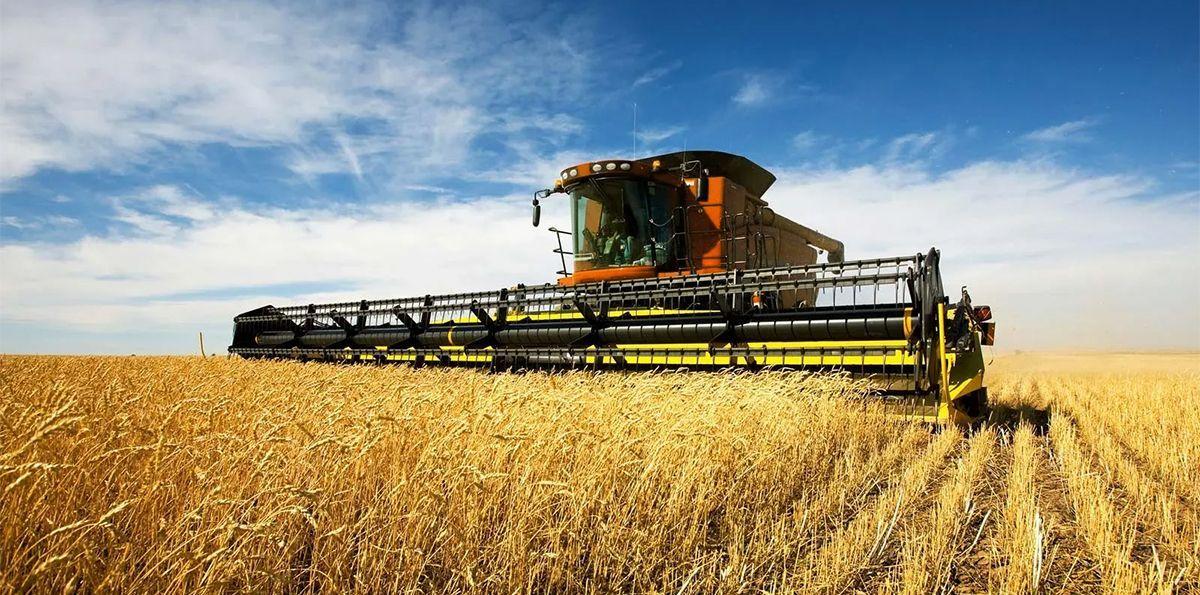 Foreign Exchange Solutions for the Agriculture Industry